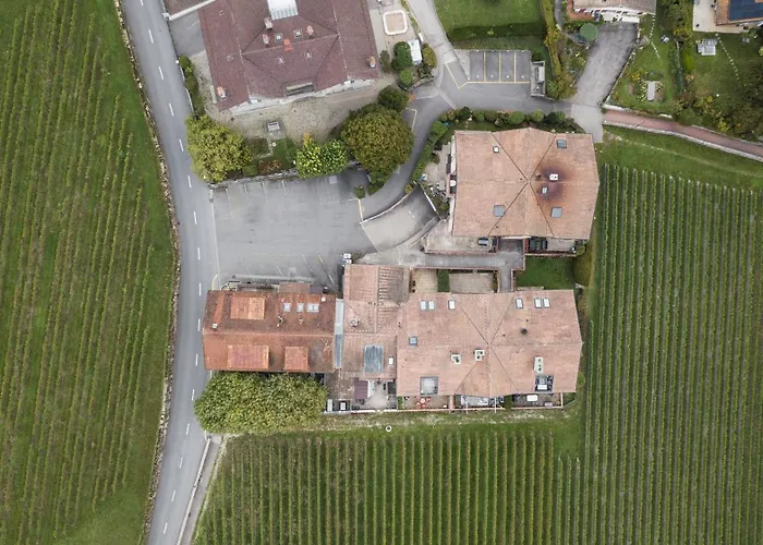 Aparthotel Amanthos Living Nyon Duillier